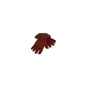 Diablo 2 Death's Hand icon