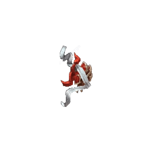 Diablo 3 Mantle of the Upside-Down Sinners icon