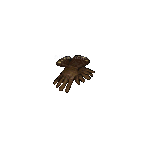 Diablo 2 Sharkskin Gloves icon