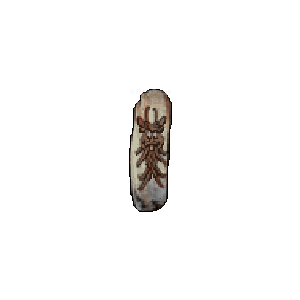 Diablo 2 GC Skin 'Dragon/Monster' icon