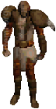 Diablo 2 Dru Bear icon