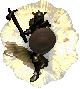 Diablo 2 Pala FoH (Gris) icon