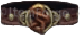 Diablo 3 Insatiable Belt icon