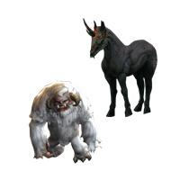 Diablo 3 Pets Category